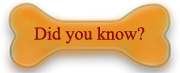 did you know