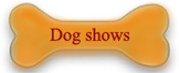 dog shows