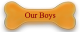 our boys