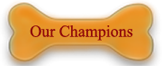 our champions