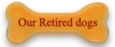 our retired dogs