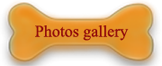 photos gallery