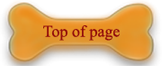top of page