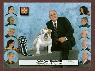 purina jakob