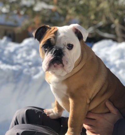 Wilma-Luna
