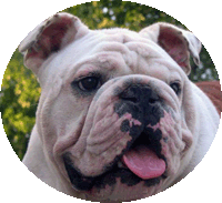 victor