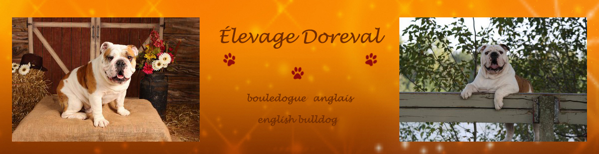 élevage doreval