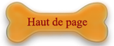 haut de page