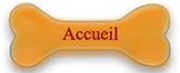 accueil