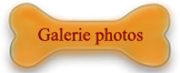 galerie photos