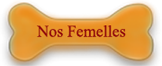 nos femelles