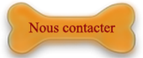 nous contacter