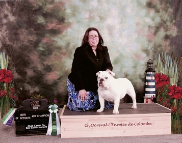 Colombe
