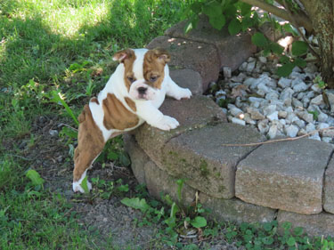 Maddy
