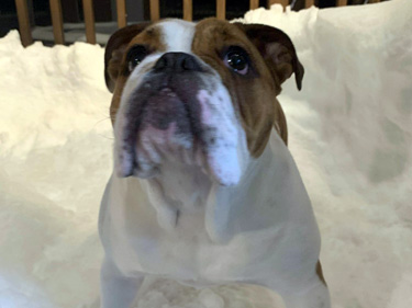 maddy