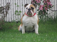 Molly