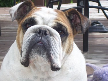 Nelly