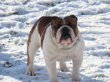 jethro